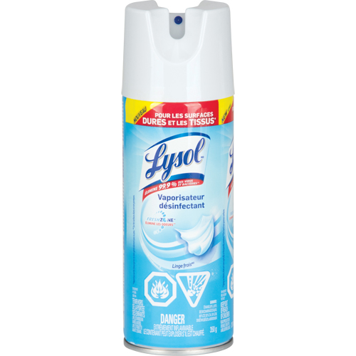 Disinfectant Spray, 350 g, Aerosol Can R.M.G. Prévention