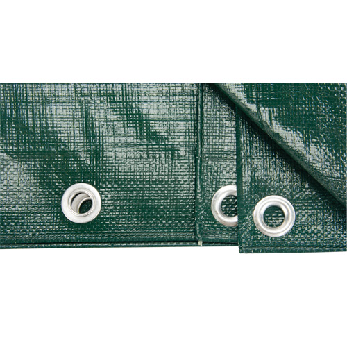 B&acirc;che, Robuste, Vert, 10' x 8' x 9 mils R.M.G. Prévention