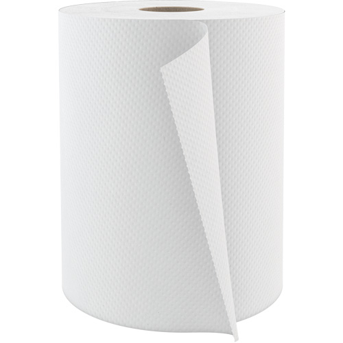 Pro Select Hardwound Hand Towels, 1 Ply, Standard, 600' L R.M.G. Prévention