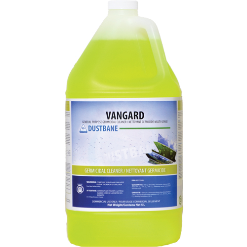 Nettoyant germicide d'usage g&eacute;n&eacute;ral Vangard, 5 L, Cruche R.M.G. Prévention