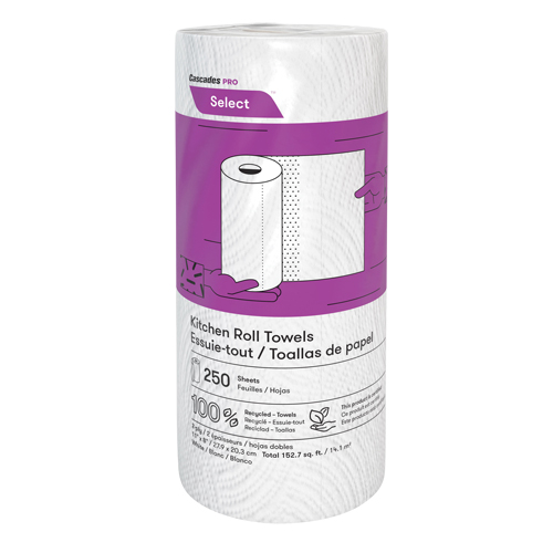 Pro Select Kitchen Towel Roll, 2 Ply, 250 Sheets/Roll, 8" W, 11" L R.M.G. Prévention