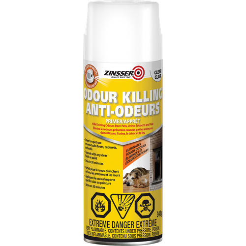 Odour Killing Primer, Aerosol Can, Clear R.M.G. Prévention
