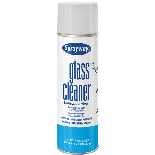 Glass Cleaner, 20 oz., Aerosol Can R.M.G. Prévention