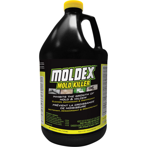 D&eacute;sinfectant contre les moisissures Moldex, 3,78 L, Cruche R.M.G. Prévention