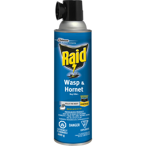 Raid&reg; Wasp & Hornet Bug Killer, 400 g, Solvent Base R.M.G. Prévention