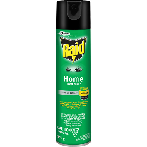 Insecticide pour insectes domestiques Raid, 350 g, &agrave; base de solvant R.M.G. Prévention