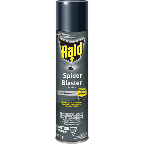 Insecticide exterminateur daraign&eacute;es Raid, 350 g, Canette a&eacute;rosol, &agrave; base de solvant R.M.G. Prévention