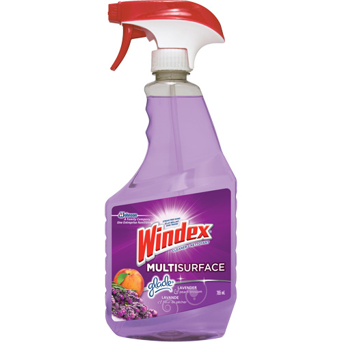 Nettoyant multi-surfaces de Windex, 765 ml, Bouteille &agrave; g&acirc;chette R.M.G. Prévention