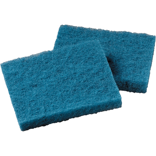 Non-Stick Cookware Cleaning Pad, Scrubbing, 5-1/4" W x 4" L R.M.G. Prévention