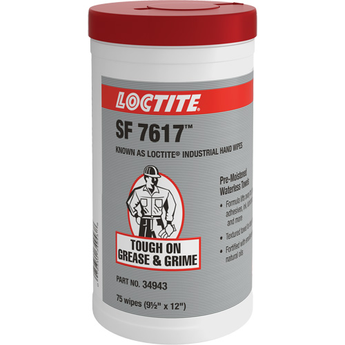 SF 7617 Industrial Hand Wipes, 75 Wipes, 12" x 9-1/2" R.M.G. Prévention