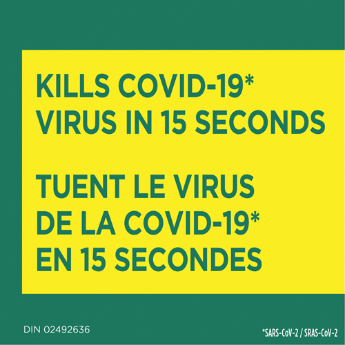 Disinfecting Wipes, 75 Count R.M.G. Prévention