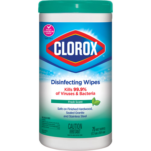 Lingettes d&eacute;sinfectantes, 75 lingettes R.M.G. Prévention