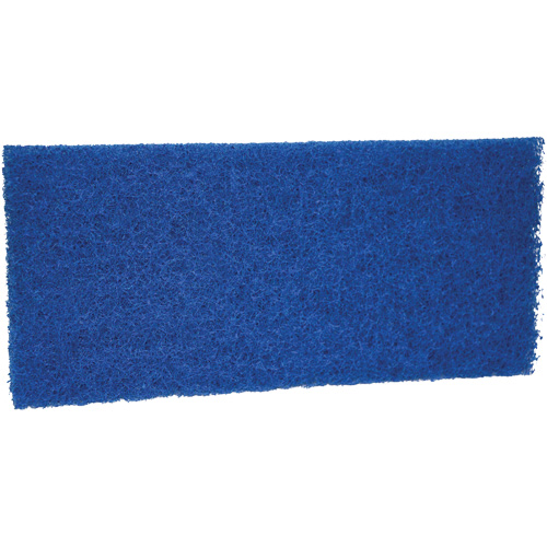 Medium Scrub Pad, 10" L x 4-1/2" W R.M.G. Prévention