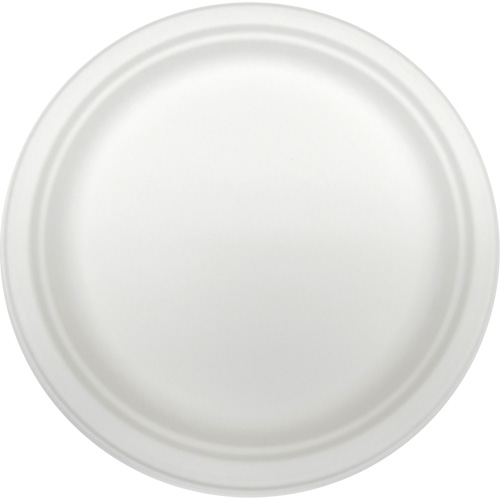 Molded Fiber Disposable Plates R.M.G. Prévention