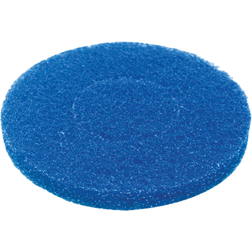Floor Pad, Cleaning, Blue R.M.G. Prévention