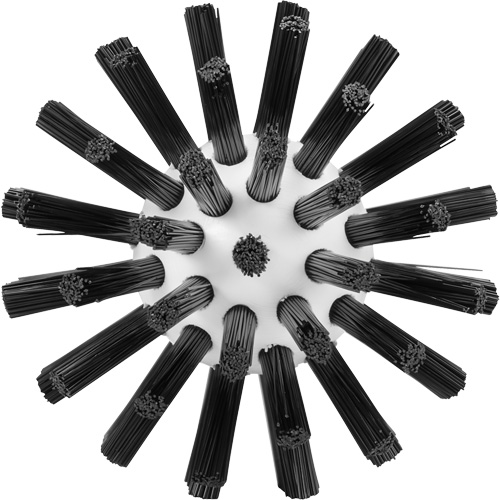 Cleaning Brush, Stiff Bristles, 5-7/10" Long, Black R.M.G. Prévention
