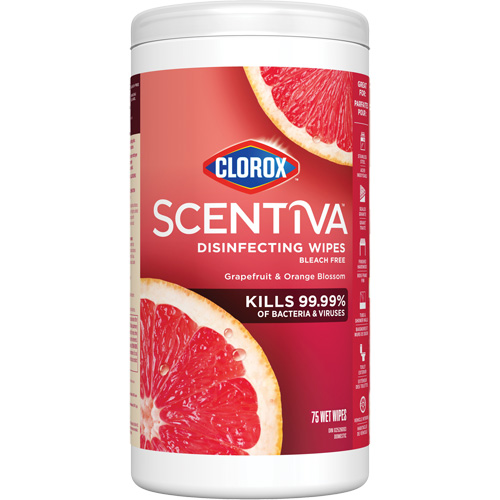 Lingettes d&eacute;sinfectantes, 75 lingettes R.M.G. Prévention