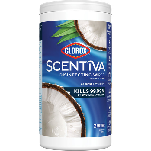 Lingettes d&eacute;sinfectantes, 75 lingettes R.M.G. Prévention