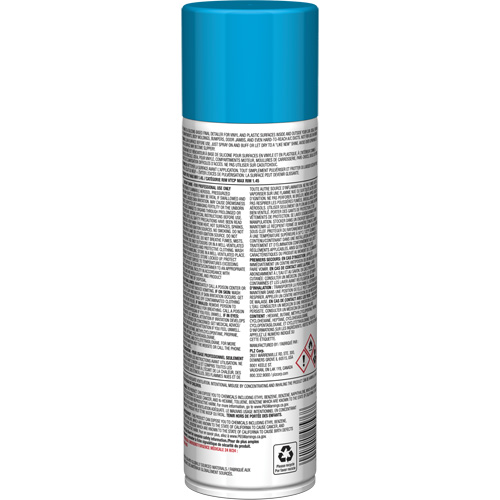 Pro Line Instant Shine for Plastic Surfaces, 11 oz., Aerosol Can R.M.G. Prévention
