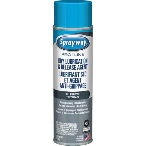 All Purpose Dry Lubricant & Release Agent, 12 oz., Aerosol Can R.M.G. Prévention