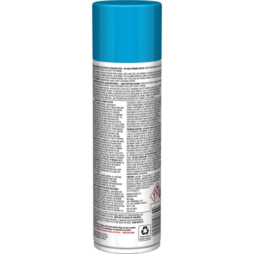 Nettoyant & polis pour acier inoxydable Pro Line, 15 oz, Canette a&eacute;rosol R.M.G. Prévention