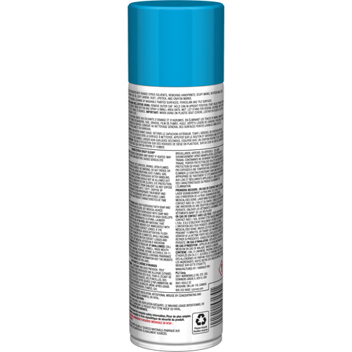 Pro Line Crazy Clean&reg; All Purpose Cleaner, 19 oz., Aerosol Can R.M.G. Prévention