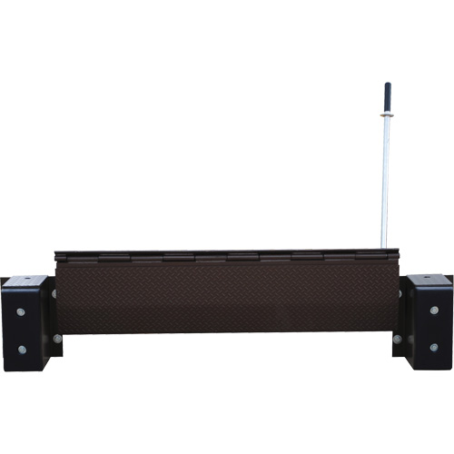 Mechanical Edge-O-Dock Leveler, 99" W, 72" Deck Width, 29" Span R.M.G. Prévention