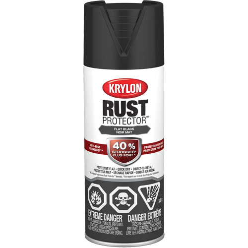 Rust Protector&reg; Enamel Paint, Black, Very Flat, 12 oz., Aerosol Can R.M.G. Prévention
