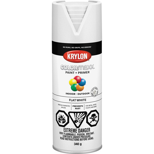 Appr&ecirc;t + peinture COLORmaxx, Blanc, Tr&egrave;s mat, 12 oz, Canette a&eacute;rosol R.M.G. Prévention