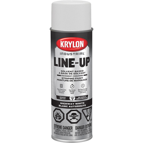 Professional Solvent-Based Marking Paint, White, 18 oz., Aerosol Can R.M.G. Prévention