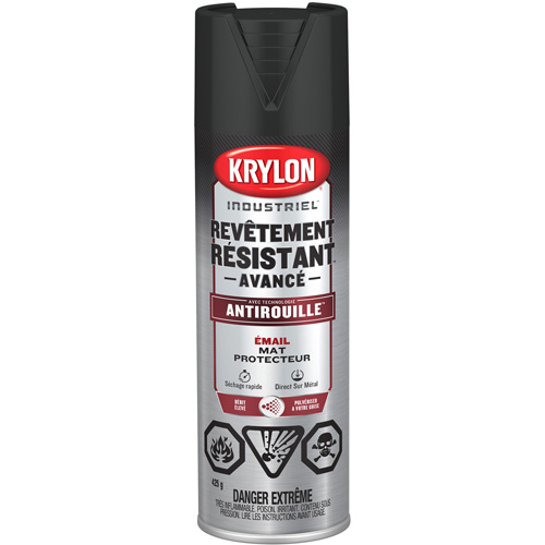 Peinture Tough Coat avec technologie Rust Barrier, Noir, Plat, 425 g, Canette a&eacute;rosol R.M.G. Prévention