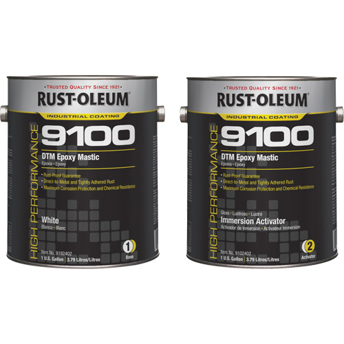 9100 System DTM Epoxy Mastic Base & Activator Kit, White, Gallon R.M.G. Prévention