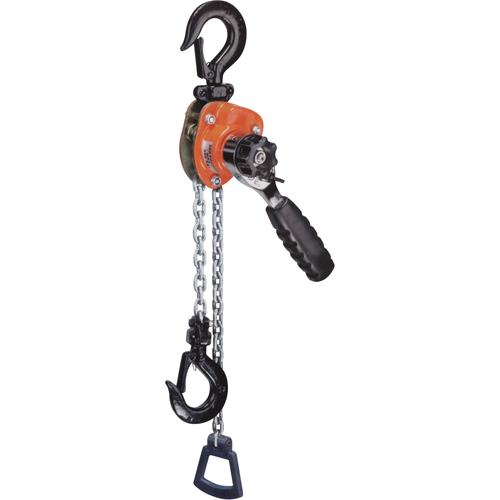 Series 602 Mini Ratchet Lever Hoist, 5' Lift, 550 lbs. (0.275 tons) Capacity, Steel Chain R.M.G. Prévention