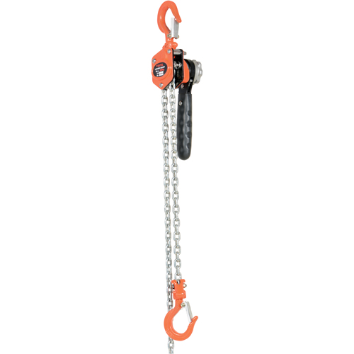 Mini Lever Hoist, 10' Lift, 500 lbs. (0.25 tons) Capacity, Steel Chain R.M.G. Prévention