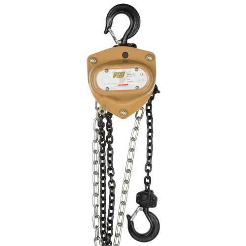 Heavy-Duty Gold Series Chain Hoist, 10' Lift, 1000 lbs. (0.5 tons) Capacity, Alloy Steel Chain R.M.G. Prévention