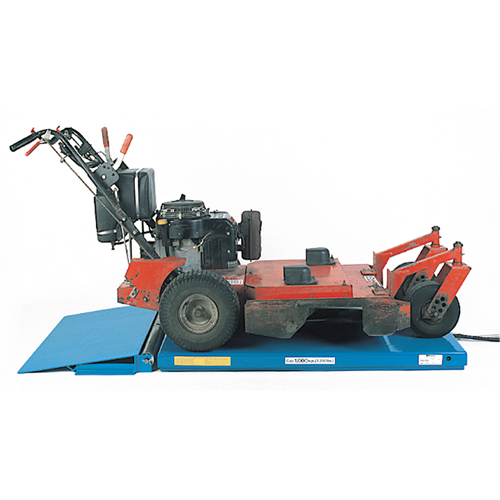 LoProfile Cart Approach Ramp R.M.G. Prévention