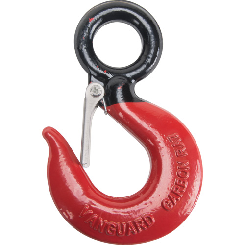 Black Eye&reg; Wire Rope Hoist Hook R.M.G. Prévention