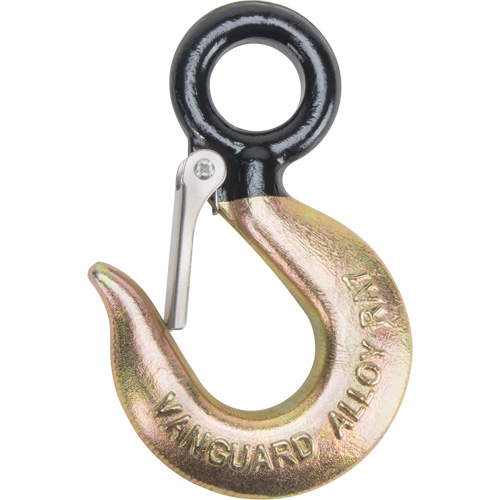 Black Eye&reg; Wire Rope Hoist Hook R.M.G. Prévention