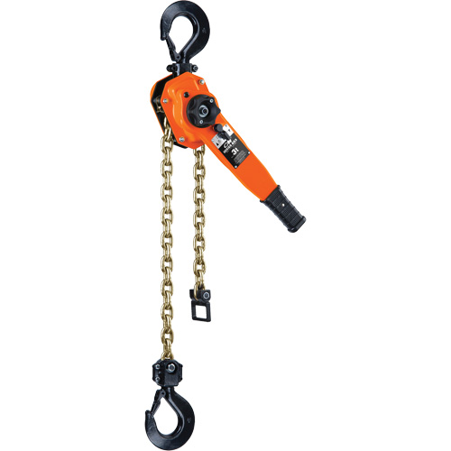 Series 653-A Ratchet Lever Hoist, 5' Lift, 6000 lbs. (3 tons) Capacity, Steel Chain R.M.G. Prévention