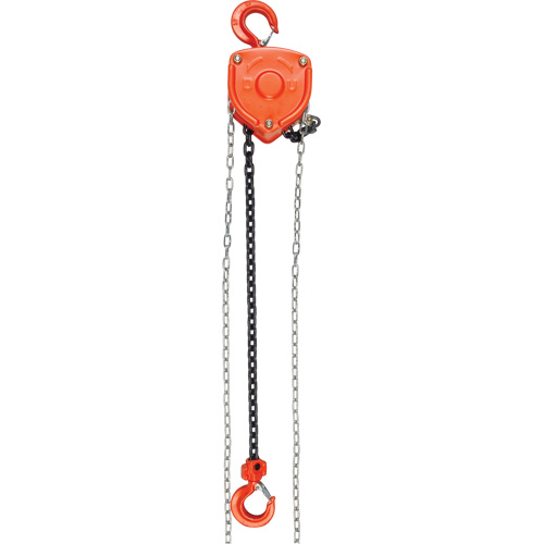Chain Hoist, 10' Lift, 10000 lbs. (5 tons) Capacity, Alloy Steel Chain R.M.G. Prévention