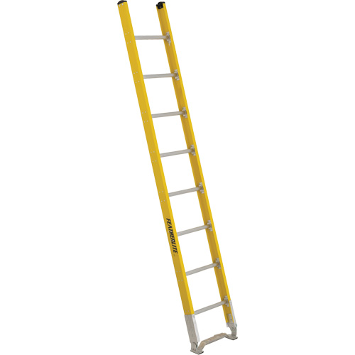Single Section Straight Ladder - 6100 Series, 8', Fibreglass, 375 lbs., CSA Grade 1AA R.M.G. Prévention