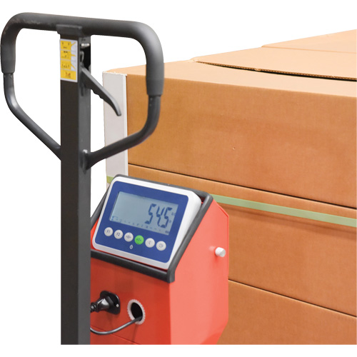 Pallet Truck, 48" L x 27.5" W, 5000 lbs. Cap. R.M.G. Prévention