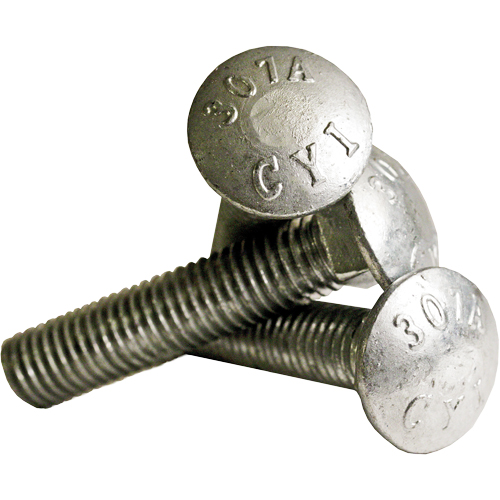 Carriage Bolt Full thread, 5/16" x 2-1/2" L, Galvanized, Coarse R.M.G. Prévention