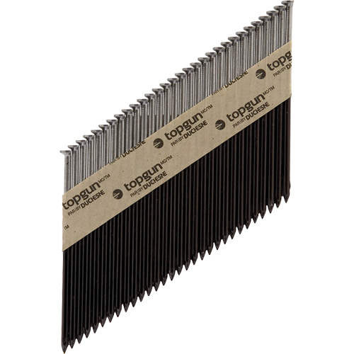 Collated Nails R.M.G. Prévention