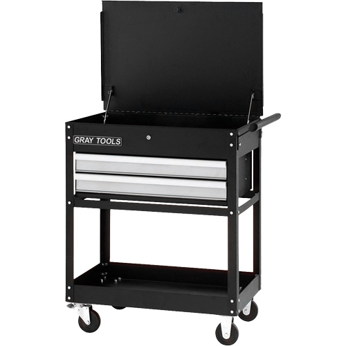Utility Cart, 2 Drawers, 30-1/4" L x 19" W x 35-3/4" H, Black R.M.G. Prévention