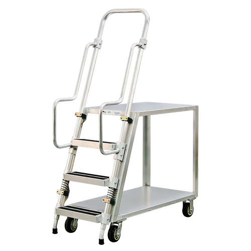 Chariot de pr&eacute;paration en aluminium avec &eacute;chelle, Aluminium, 22" la x 51-1/2" p, 2 tablettes, Capacit&eacute; 800 lb R.M.G. Prévention