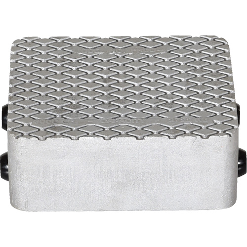 Cast Aluminum Propel Dolly R.M.G. Prévention