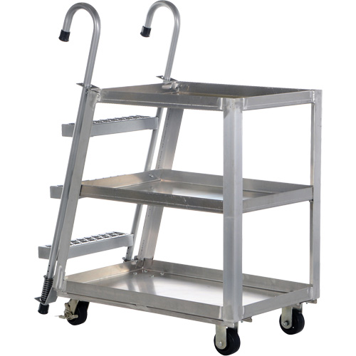 Chariot de pr&eacute;l&egrave;vement de stock, Aluminium, 21-7/8" la x 40" p, 3 tablettes, Capacit&eacute; 660 lb R.M.G. Prévention