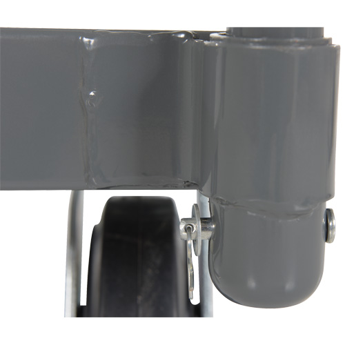 Platform Truck, 48" L x 24" W, 2000 lbs. Capacity, Rubber Casters R.M.G. Prévention