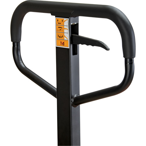 Manual Pallet Truck, Steel, 48" L x 21" W, 5500 lbs. Capacity R.M.G. Prévention